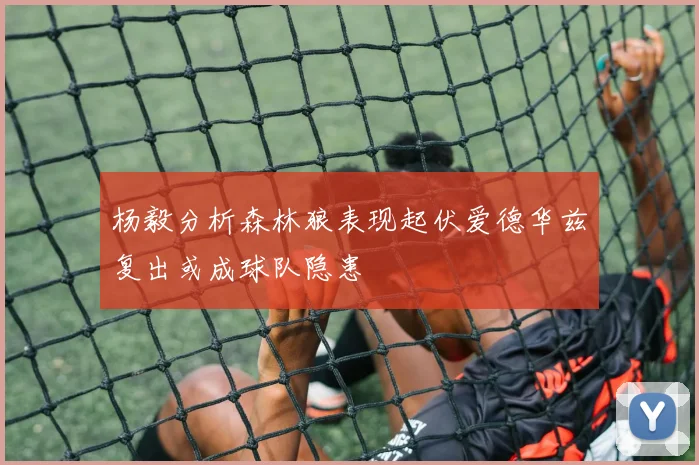 杨毅分析森林狼表现起伏爱德华兹复出或成球队隐患