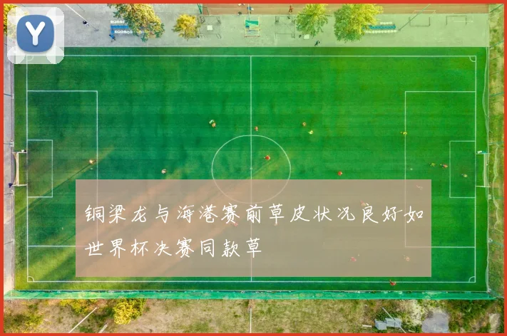 铜梁龙与海港赛前草皮状况良好如世界杯决赛同款草